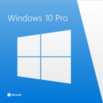 Windows 10 Pro (32/64 bit)  